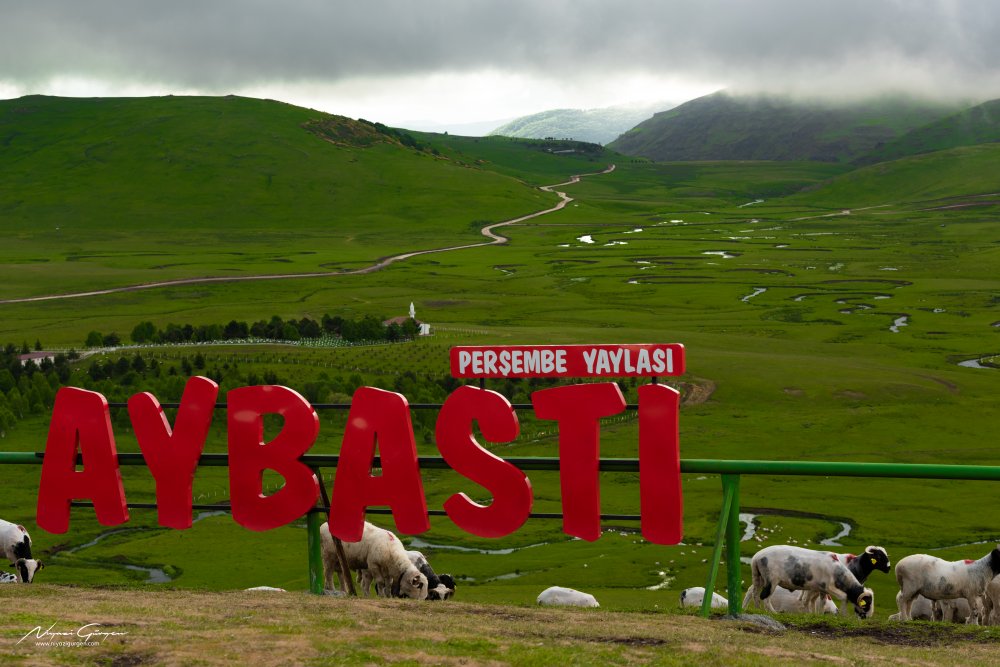 Aybastı Perşembe Yaylası